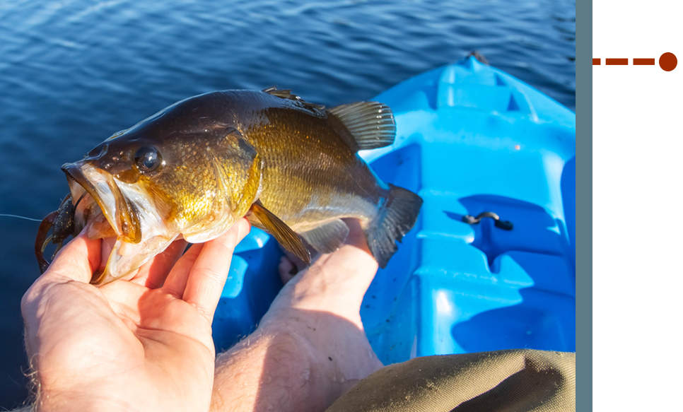 2018 Kayak Bass Fishing